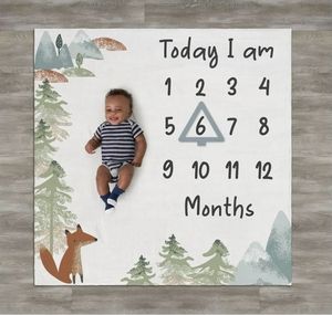 lot 41995 image: Modern Moments By Gerber Baby Boy Milestone Blanket & Frame Set, 2-Piece, Blue