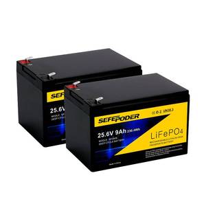 lot 3639 image: SEFEPODER 24V 9Ah Lithium LiFePO4 Deep Cycle Battery 2 Pack, 3000 Cycles Rechargeable Battery for Lighting, Scooter, UPS(600W or Less), 24V Power Wheels and More with Built-in 30A BMS