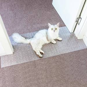 lot 3642 image: Carpet Protector for Pets Cat Carpet Protector Repellent Barrier for Doorway Corner Anti Scratch Under Door Cat Scratch Protector Mat, Easy to Cut Plastic Stopper (Clear, 3.6FT-1pack)