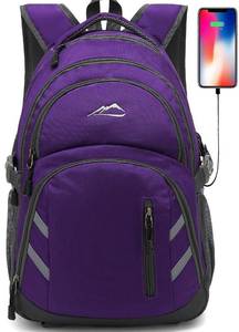 lot 3717 image: ProEtrade Backpack Bookbag for College Laptop Travel, Fit Laptop Up to 15.6 inch with USB Charging Port Multi Compartment Anti theft, Gift for Women Men (Purple)