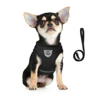 lot 4408 image: FEimaX Dog Harness and Leash Set for Walking, Soft Mesh Adjustable Easy Control Lightweight Cat Vest Harnesses with Reflective Strips, Escape Proof Small Dogs Cats Vests