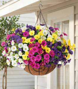 lot 4491 image: HyeFlora Artificial Hanging Flowers Faux Plants Basket for Outdoors Spring Decor, Fake Silk Morning Glory with Eucalyptus in Planter UV Resistant Outdoor Flowers for Outside Porch Patio Garden Home