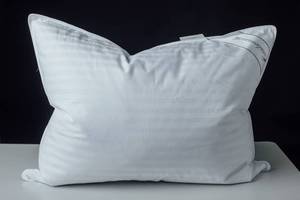 lot 4507 image: Eastwarmth Goose Down Feather Soft Pillows One Pillow 100% Cotton Supportive Bed Pillow Stripe White Color Standard Size 20x26 inch