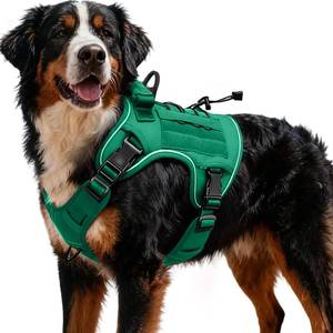 lot 4555 image: Heavy-Duty Tactical Dog Harness for Large Dogs, No Pull Adjustable Reflective Pet Vest with Molle System, K9 Military-Grade Control for Service Training, Outdoor & 10 Breeds, Turquoise, XX-Large