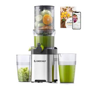 lot 4830 image: AMZCHEF Cold Press Juicer, Juicers Machines - 5.2 Large Feed Chute for Whole Fruits & Vegetables, Stainless Steel Slow Masticating Juice Easy to Clean