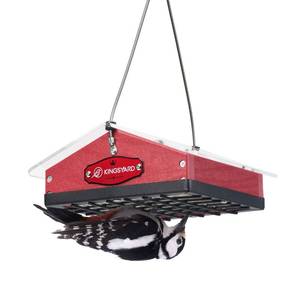 lot 2180 image: Kingsyard Upgraded Upside Down Suet Feeder for Outside Hanging - Recycled Plastic Wild Bird Feeder with Rainproof Roof for Attracting Woodpeckers Nuthatches Chickadees Finches. Red