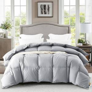 lot 5035 image: WarmKiss Queen Size Down Comforter, Luxurious All-Season Duvet Insert with noiseless Skin-Friendly Tencel Blend Cover, Cloud-Soft & Breathable,8 Corner Tabs,Machine Washable,Grey (90 x 90)