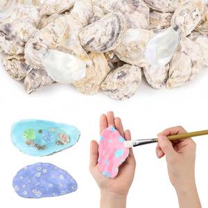 lot 6029 image: YATOJUZI 3-4 Oyster Shells 10PCS Natural Oyster Shells for Crafts Vase Fillers Bulk Wholesale DIY Accessories Small Sea Shells Home Arts Decor Ornaments