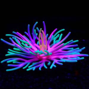 lot 6118 image: DEMONTALK Silicone Fish Tank Accessories Decorations, Aquarium Decor Ornaments for Betta Fish