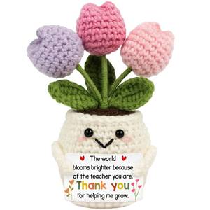 lot 6214 image: Lucagift Teacher Appreciation Gifts - Teacher Gifts for Women - Teachers Appreciation Week, Thank You Crochet for Teachers Women - Emotional Inspirational Positive Tulip Doll Toy Figure Crochet