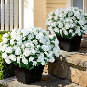 lot 5065 image: 8 Bundles Artificial Roses for Front Door Outdoor Decor, Realistic Fake Silk Bouquets Flowers Faux UV Resistant Real Looking Rose Plants for Garden Balcony Farmhouse Home Spring Summer Decor (White)