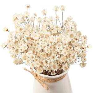 lot 14365 image: WILLBOND 200 Pcs Natural Dry Flowers White Mini Dried Star Daisy Floral Decorative Chamomile Bouquet for Wedding Floral Arrangements Home Vase Decorations