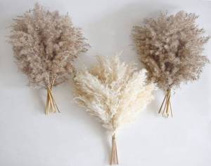 lot 20422 image: 30 PCS Boho Decor, Fluffy Pompas Grass, Natural Dry Pampas Grass Small, Short Pampass Bulk for Boho Room, Coffee Table Decor (17 inch )