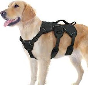 lot 14019 image: rabbitgoo Escape Proof Dog Harness, Soft Padded Full Body Pet Harness, Reflective Adjustable No Pull Vest with Lift Handle and Leash Clip for Large Dogs Walking Hiking Training, L, Black