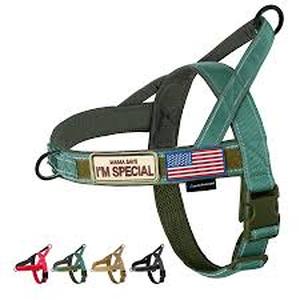 lot 20416 image: Annchwool Dog Harness with Leash (Large)