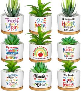 lot 1536 image: Domensi 9 Pcs Teacher Appreciation Gifts Bulk Ceramic Succulent Plant Pot with Bamboo Tray Ceramic Planter Accessories for Funny Cute Teacher Birthday Retirement Gifts