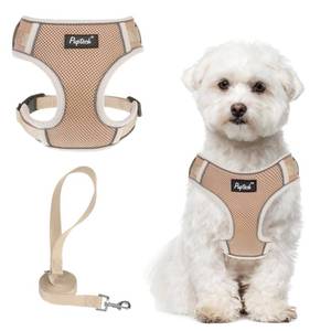 lot 2003 image: PUPTECK Small Dog Harness and Leash Set, No Pull Adjustable Puppy Cat Harness, Reflective Soft Mesh Pet Vest Small Sized, Khaki, M