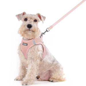 lot 4435 image: rabbitgoo Dog Harness Small Sized and Leash Set, Step in Soft Light Puppy Vest, Breathable Mesh Pet Harness, Reflective for Outdoor Safe Walking, Pink XXL