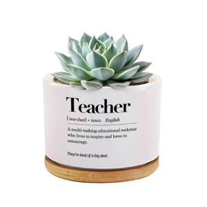 lot 12217 image: Teacher Definition Ceramic Succulent Plant Pot with Bamboo Tray Round Teacher Appreciation Gifts from Students End of The Year Gift Teachers Day Home Decor Plant Lover 3.5 Inch White (No Plants)