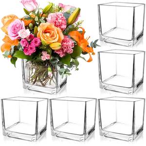 lot 13600 image: PINIWON 6 Pack Square Glass Vases 5 x 5 x 5 Inch, Clear Cube Flower Vases for Centerpieces, Candle Holders for Wedding Party Home Decor