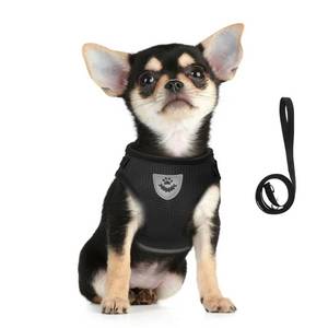 lot 14108 image: FEimaX Dog Harness and Leash Set for Walking, Soft Mesh Adjustable Easy Control Lightweight Cat Vest Harnesses with Reflective Strips, Escape Proof Small Dogs Cats Vests