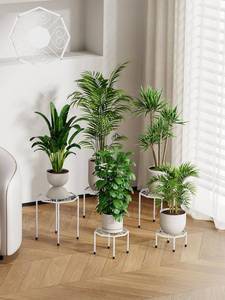lot 19177 image: NBPUJ 5-Pack Metal Plant Stands for Outdoor Indoor, Anti-Rust Iron Flower Pot Stand, Heavy Duty Plant Pot Shelf for Multiple Plant, Decoration Racks for Home, Patio & Garden (White)