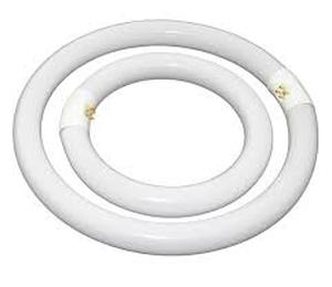 lot 4361 image: White Circular Fluorescent Light Bulb