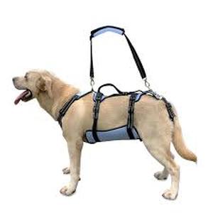 lot 5125 image: Coodeo Dog Lift Harness, Full Body Support & Recovery Sling, Pet Rehabilitation Lifts Vest for Old Dog with Arthritis Walk(Bule,XL)