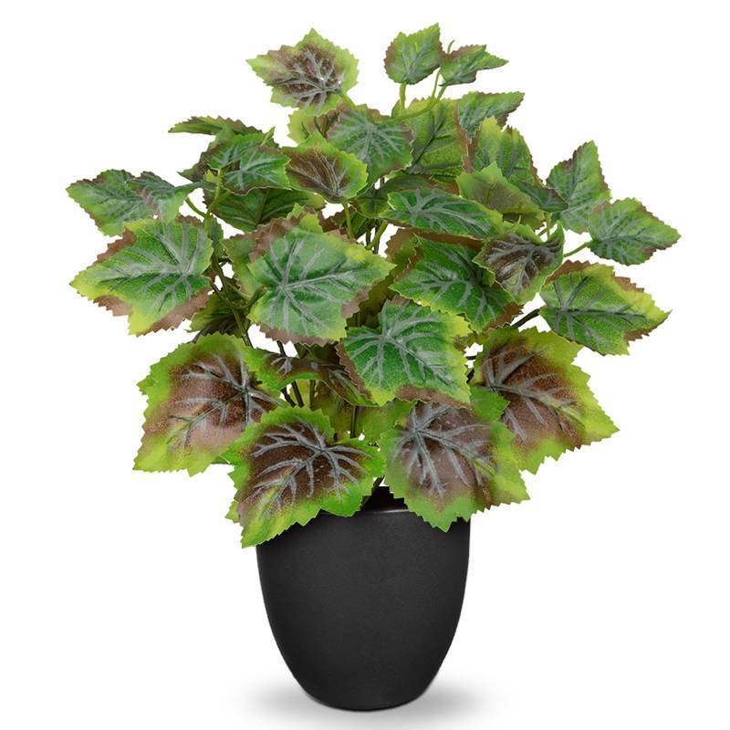 lot 4487 image: 14.5 Artificial Plants Indoor Home Decor, Fake Potted Silk Plants for Shelves Living Room Decorative, Small Artificial Office Desk Plants in Pots, Faux Grape Leaf Vine Hope Tropical House Plant
