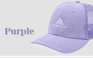 lot 5710 image: Queday Trucker Hat Premium Blank Baseball Cap for Men Women Adjustable Snapback Hat Embroidered Outdoor Hats