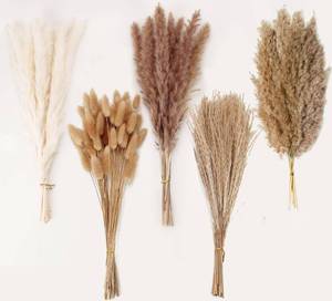 lot 5830 image: Natural Dried Pampas Grass Decor - 110 Pcs, Contains White Bunny Tails, Artificial Flowers for Bathroom, Office and Baby Shower Decor