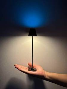 lot 5968 image: Timjorman RGB Palm-Sized Cordless Table Lamp, Rechargeable Touch Metal Bedside Lamp, 3 Brightness 3000K Warm Light, Small Table Lamp for Bedroom, Restaurant, Patio, Camping (Black 1 Pack) (Powers On)