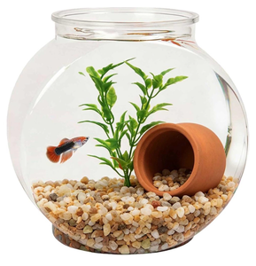 lot 6153 image: Koller Products 1-Gallon Fish Bowl, Impact-Resistant Plastic