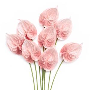 lot 3082 image: Lings moment Artificial Anthurium Plants, 8pcs Shabby Blush Silk Filler Flower, Pink Faux Greenery Stems for DIY Wedding Bouquets Centerpieces Arrangements Bridal Shower Party Home Decorations - Retail $30