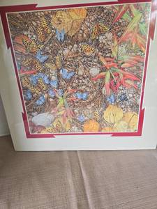 lot 1036 image: Bev Doolittle matted print, 15x15