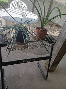 lot 5510 image: 2 Live Plants with Stand.  Stand is 31 x 30 x 16
