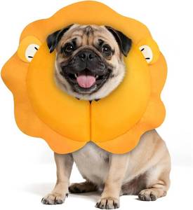 lot 552 image: MIDOG Inflatable Dog Cone Collar - Lion Mane, 12-15 in (M)
