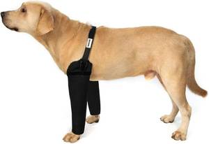 lot 577 image: Front Leg Dog Recovery Sleeves - Cone Collar, Waterproof 2.5mm