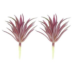 lot 3484 image: PATIKIL Artificial Succulent Plants, 2 Pack Small Fake Plants Faux Succulents Plant Unpotted for Home Garden Decoration, Burgundy - Retail $8