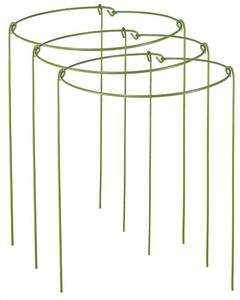 lot 3656 image: 3 Pack Plant Support Stakes, Adjustable Plant Ring Cages with Green Rubber Wrapping, Ideal for Orchids, Indoor and Outdoor Potted Plants, 10 Wide x 17 High&nbsp