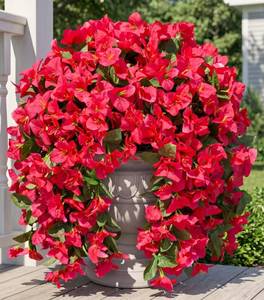 lot 4132 image: Faux Bougainvillea Artificial Flowers Plants for Outdoors Outside Decoration, 2 PCS Fake Flowers Silk Long Trailing Vines UV Resistant Realistic for Front Door Porch Planter Urn Patio Balcony Hot Pink - Retail $23