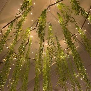 lot 4201 image: Bucherry Jungle Theme Decoration Set, 68.9ft Artificial Hanging Willow Vines Greenery for Classroom, Woodland Forest Rainforest Safari Party, Enchanted Indoor Outdoor Home Garden Wall DIY Decor - Retail $60
