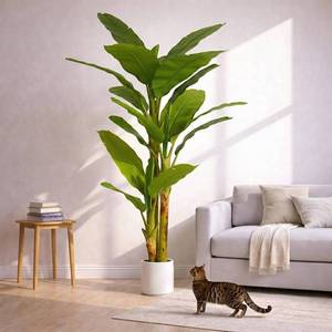 lot 161476 image: Retails for $120 7FT Artificial Banana Tree Luxury Faux Banana Plant Fake Tree for Living Room Decor Extra Large Tropical Silk Tree Indoor Floor Plant Home Modern Office Greenery Big Tall Fake Plants Corner Decor