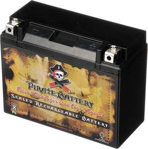 lot 37580 image: Pirate Battery YTXY50-N18L-A3 Maintenance-Free 12V 21Ah Battery Replacement for ATV, Motorcycle, Jet Skis, Scooter, UTV, and More - Nut and Bolt (T3) Terminal