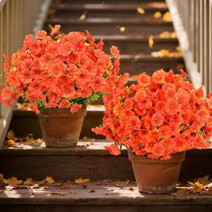 lot 40047 image: 24 Bundles Artificial Fake Fall Flowers Faux Plants for Outdoor Outside Faux Silk Morning Glory UV Resistant Look Real Autumn Fake Outdoor Flowers for Front Door Porch Window Box, Orange