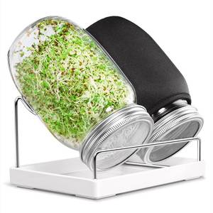 lot 4355 image: SBMKK Seed Sprouting Jar Kit - 2 Wide Mouth Mason Jars with 316 Stainless Steel Sprouting Lids Covers, Drip Tray and Stand for Growing Broccoli Alfalfa Beans Sprout (Two Jars) - Retail $24