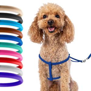 lot 4460 image: CollarDirect Rolled Leather Dog Harness Small Puppy Step-in Leash Set for Walking Pink Red White Blue Green Black Purple Beige Brown Yellow (Dark Blue, XS) - Retail $1,311