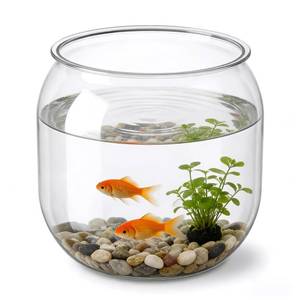 lot 4495 image: Mini Plastic Fish Bowl, 80 Oz Decorative Small Fishbowl, Round Plastic Fish Tank, Unbreakable Aquarium Fish-Bowls for Party Decorations, Centerpiece Vases, Hydroponic Planter and Home Decorations - Retail $10