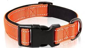 lot 27390 image: Dog Collar, Reflective Dog Collar, Soft Neoprene Padded Breathable Nylon Pet Collar Adjustable for Small Dogs, Orange, S(10.23-14.96) - Retail $8