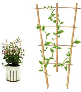 lot 27502 image: 3Pack Bamboo Trellis 16 Inch Fan Shaped Small Plant Trellis for Indoor Potted Plants Climbing Monstera Orchid Vine Hoya Houseplant - Retail $14